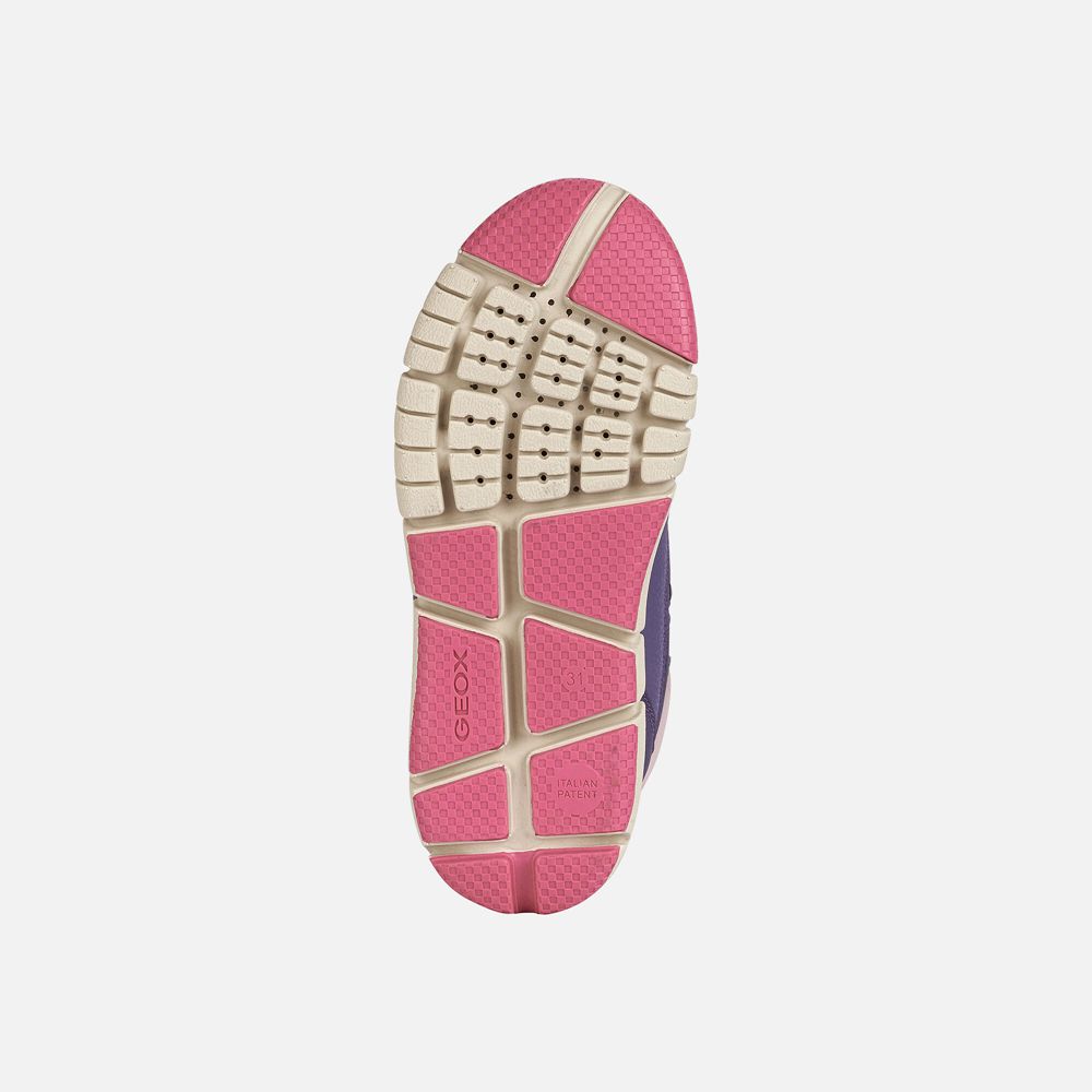 Botins Geox Menina Roxo Escuro/Rosa - Flexyper Abx - ZPIAG0871